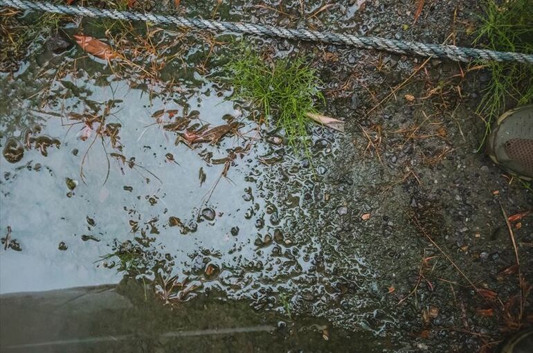 庭の水はけが悪い原因とは？