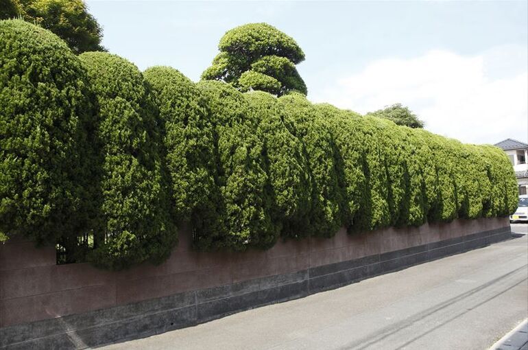 生垣のメリットについて
