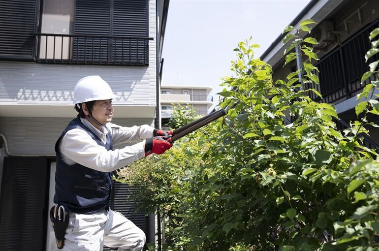 庭木を管理する方法は？