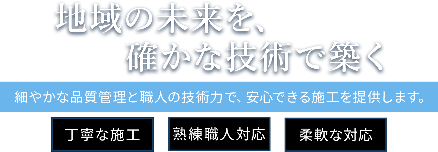 MVcatch